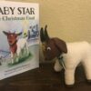 Baby Star Book And Stuffed Animal