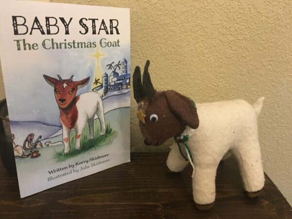 Baby Star Book And Stuffed Animal